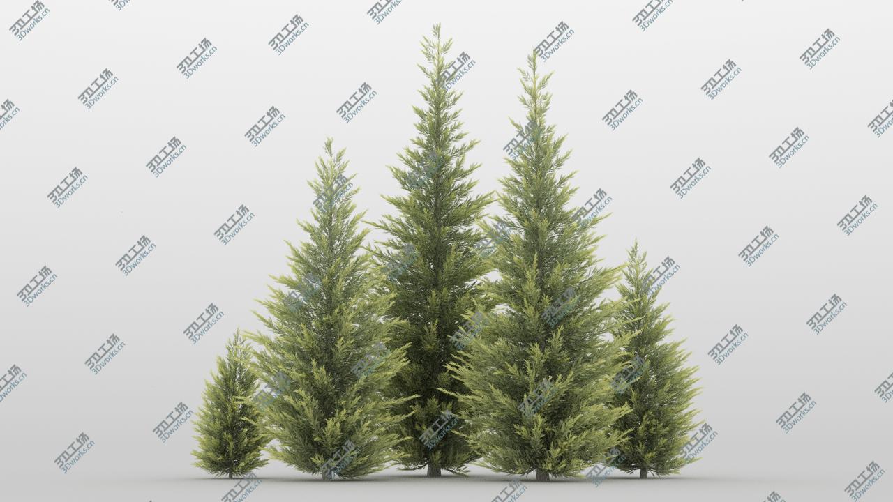 images/goods_img/202104092/3D model 40 Summer Conifer Trees/4.jpg